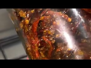 Foodie & Travel 🍱🚗 is live