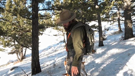 81K views · 2.1K reactions | While chasing lions with his dogs, Jake's dog Lefty gets a cut on one of his back legs. Jake decides to stop the chase and head to the vet. | Mountain Men on The History Channel | Facebook