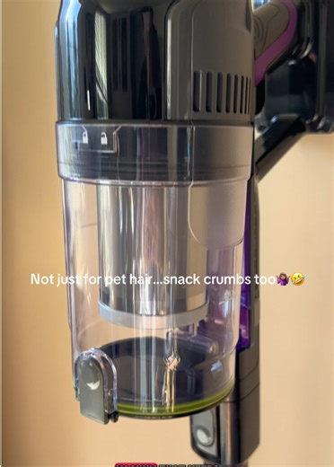 Bissell Vacuum: The Ultimate Pet Hair Solution at Half Off!