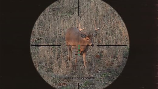 @buk.ops on Instagram: "X-Factor or Cycloptic-X… which one do you have on your crossbow?"