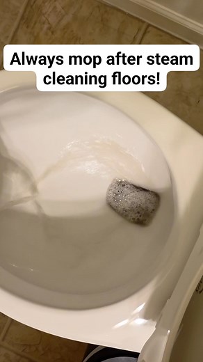 4.9K views | Steam cleaning makes floors look great — but here’s the truth: all that dirt has to go somewhere! I always follow up with a mop to actually lift and remove the grime. This is the “mop dump” of one small section of the kitchen after steam cleaning — proof that even clean-looking floors can hide a lot!  | Neat by Nature | Facebook