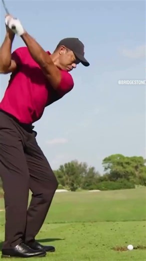 Tiger 🐅 Woods tigerwoods hit the iconic “stinger” leaving Billy Andrade in awe when he unveiled