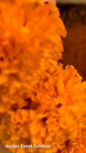 Moments Come And Go,But Memories Last forever🌸 Traditional Haldi Decor 🌼 For Costing & Booking Contact Now! Limited Slots are Available, Avoid Disappointment! Send Us A Message. Call Us. Visit Us. Facebook: f/Ambereventsolution E-mail - Ambereventsolution@gmail.com What's App- 01999-590143 #Amber_Event_Solution #decor #wedding #decoration #decoration #outdoorlife #nikkah #receptiondecor #mehedibride | Amber Event Solution