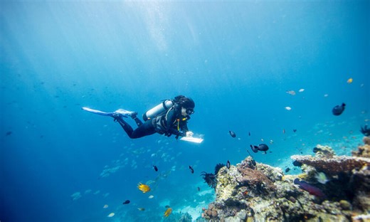 Women in Science | Educators Toolkits | WWF