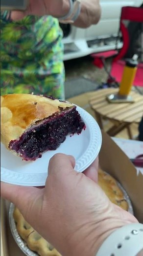 Thick Montana Huckleberry Pie 🥧