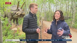 Dinosaurs are alive on Global News Morning
