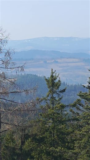 #castle #historytime #forest #nature #adventure