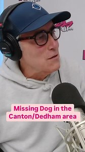 ATTN 🚨 there’s a missing red/brown mini golden doodle in the canton/dedham area named Bailey she’s wearing a pink bandanna and is 11 pounds | Kiss 108