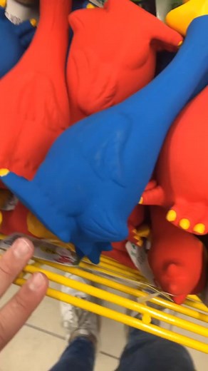 Colorful Rubber Duck Collection Showcase