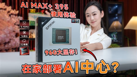 96GB大显存！AI MAX 395使用体验，AMD依旧YES？