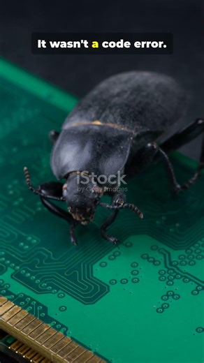 The First ACTUAL Computer Bug 🐛 #shorts
