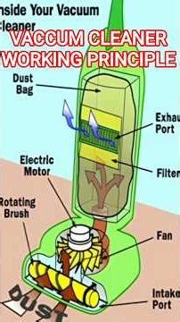 How Does a Vacuum Cleaner REALLY Suck? The Truth Will Shock You! |#viral #shorts #shortsfeed
