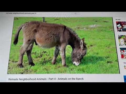 Remade Neighborhood Animals - Animals On The Ranch for Donkey