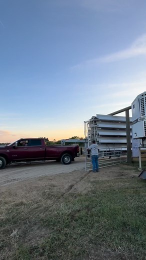 7.8K views · 51 reactions | The Overpass Arena on Reels | Facebook