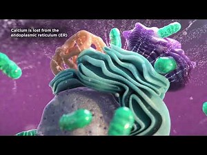 How Our Technology Works