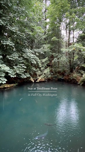 Treehouse Point on Instagram: "Come stay in a treehouse this October for a cozy & rainy getaway 🍂🌧️ Book an October 2023 stay and you’ll save with our special pricing! Hurry and book your fall getaway today 👆 Please write FALL23 in special request field when booking 🫶 #treehouse #fall #washington #getaway #cabin #cabininthewoods #pnw"