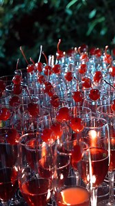 🎄✨ Catalonia Royal Tulum is holiday ready! The magic begins with our tree lighting and there’s so much more to come. Don’t wait, book your December getaway now and make this holiday season unforgettable! https://bit.ly/3vkCxCh #CataloniaRoyalTulum 🎄✨ ¡Catalonia Royal Tulum está listo para las fiestas! La magia comienza con nuestro encendido del árbol y tenemos muchas sorpresas más por venir. No esperes más, reserva ya tus vacaciones de diciembre y haz que estas fiestas sean inolvidables! https