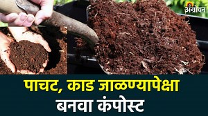 454K views · 3.9K reactions | Compost Making : लवकर कुजणारं कंपोस्ट...