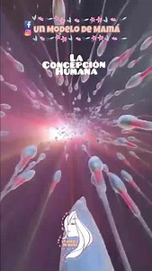 LA CONCEPCIÓN HUMANA 👫🏻 . La concepción humana es la unión del espermatozoide y el óvulo, es el comienzo de un nuevo ser y marca el inicio del embarazo. La fecundación es la unión del espermatozoide con un óvulo secundario ,se lleva a cabo en la ampolla de la trompa de falopio a través de diversos procesos, que permiten la fusión entre ambos gametos. Después que el óvulo ha sido fecundado se transforma en una nueva célula denominada cigoto a célula huevo y comienza a descender por la trompa ha