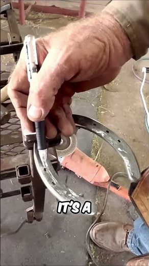 How To Properly Shoe A Horse Expert Tips & Techniques #shorts