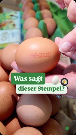 🥚 Weißt du eigentlich, was der Stempel auf deinem Ei wirklich bedeutet? Viele denken, dort steht das Mindesthaltbarkeitsdatum. Tatsächlich verrät dir der Eiercode ganz genau, woher dein Ei kommt und aus welcher Haltungsform es stammt. Die erste Zahl zeigt dir, ob es sich um ein Bio-Ei, ein Freiland-Ei oder ein Ei aus Bodenhaltung handelt. Die Länderabkürzung, zum Beispiel DE, steht für Deutschland. Danach folgt die Betriebsnummer des Legebetriebs und am Ende die Stallnummer. So kannst du Herkun