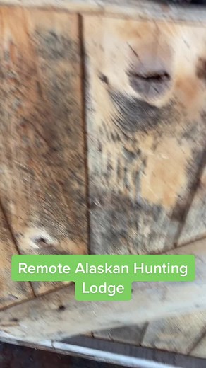 Off grid living never looked so good! All of our lodge based hunts give our clients there own personal cabin to call home for 10 days! #alaska #alaskahunting #huntak #huntalaska #alaskalife #alaskaliving #offgridliving #offgrid #wilderness #offgridlife #hunting #huntingseason #huntinglife