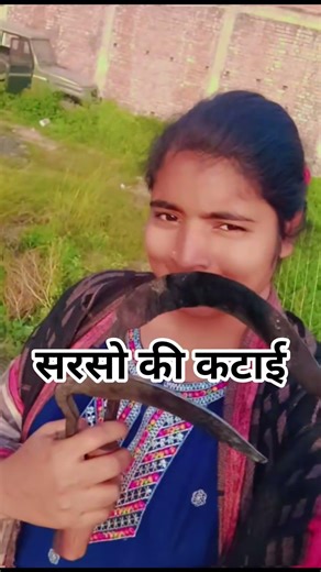 Sarso ki kataee 🌾#funny #funnyshorts #funnyvideo #fun #funnyvideos #funnycomedy #comedy #farming #yt