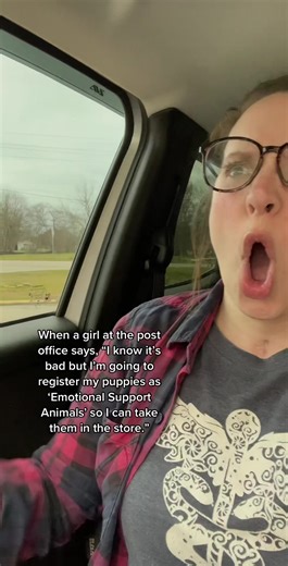 Don't Risk Your Pet's Safety: ESA Scams Explained