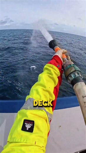 The Pirate Defense System You Never Knew Existed