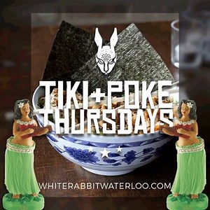 🌺Aloha! It’s #tiki #thursday @ #whiterabbitwaterloo 🌺#Poke bowls w/ salmon or tofu only $15! | White Rabbit • Uptown Waterloo