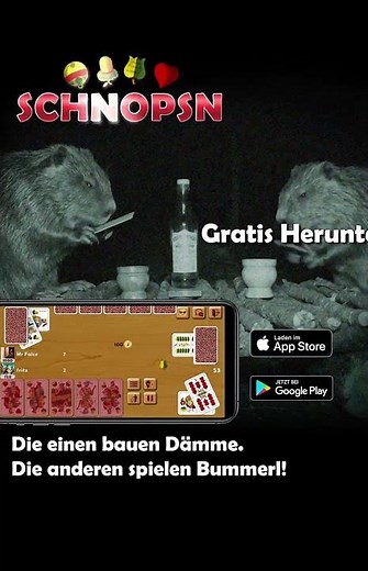 Biber beim Schnopsn 9x16 #schnapsen #schnopsn #cardgame #schnopsnonline