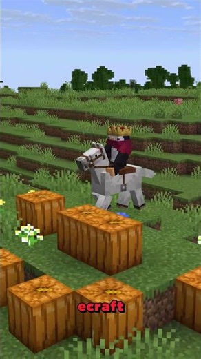 How to Get the FASTEST Horse in Minecraft!