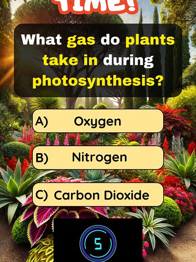 Super Science Quiz: Test Your Trivia Knowledge!