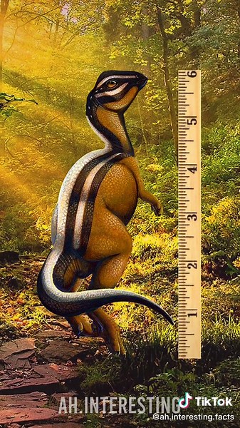 Facts About Micropachycephalosaurus: The Tiny Dino