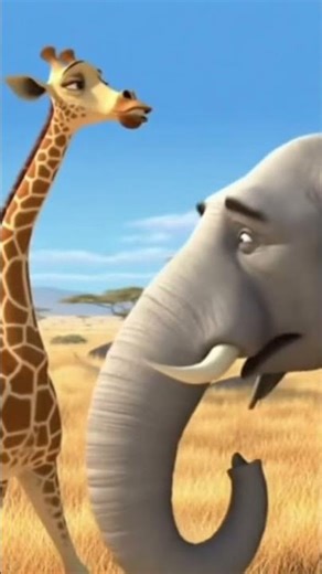 L'elefante é pazzo 🤣🤣 #barzellette #videodivertenti