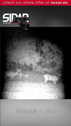 Deer at 120m | Noxar Sidar 4K Night Vision Scope