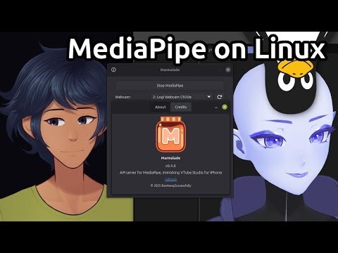 VTubing on Linux using MediaPipe - Marmalade