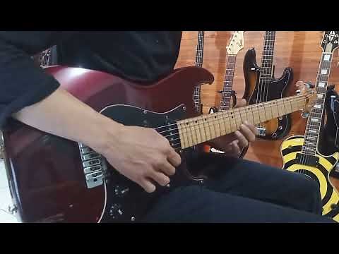 Demo Guitar Samick Greg Bennet Malibu Stratocaster