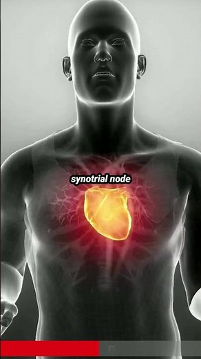 How Does Your Body Generate Electricity?