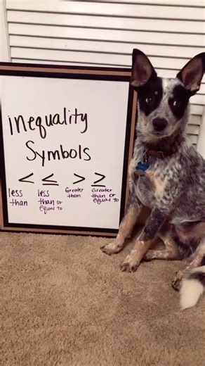 Ronald is ready for his first math lesson! #fmsteach