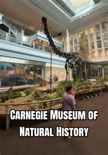 Sometimes Plan A doesn’t work out… and that’s when Plan B turns into the best adventure. 🤍 If you’re looking for family-friendly things to do in Pittsburgh, the Carnegie Museum of Natural History is a must-visit! From towering dinosaur fossils to fascinating exhibits from around the world, there was so much to explore. Our kids were completely captivated, and honestly, so were we! If you’re visiting Pittsburgh with kids, add this to your itinerary—you could easily spend hours here discovering s