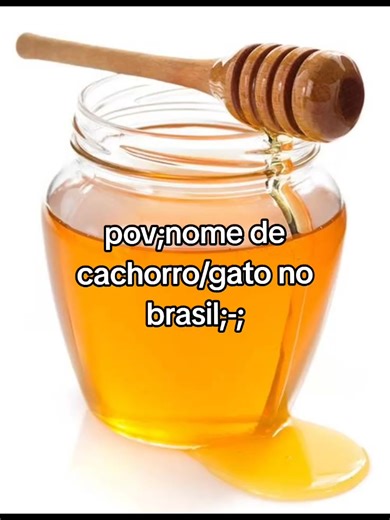 Nomes Criativos para Gatos e Cachorros no Brasil