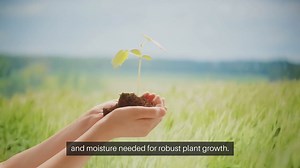 Improve Soil Health Garden