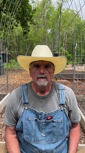 Carpenter Bee Trap #carpenterbees #gardentips #farmlife #homestead #wild #bees #gardening #pollinators | PawPaw Ridge Homestead