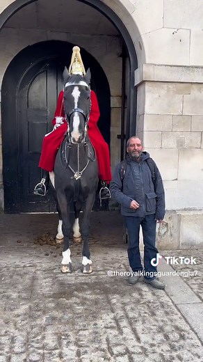 Get of the reins, Royal kings horse guard shout on tourist, nearly broke the fight 🤒 #horsesoftiktok #kingsguards #shoutontourist #getofthereins #foryou #horseguardsparade #londonlife #fypシ゚viral #funny