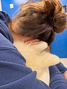 Ariel Winter | the last two weeks have been the most heartbreaking weeks of my life…i lost my first baby and best friend Casper 💔 he was the most special,... | Instagram