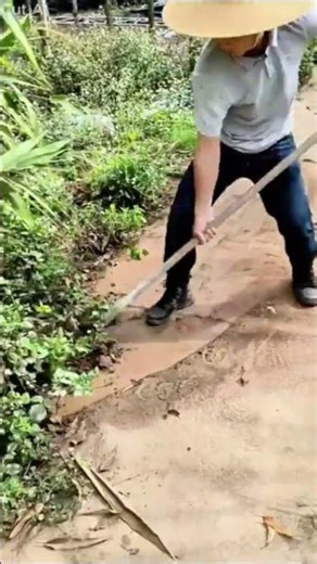 Edge Trimming with a Spade