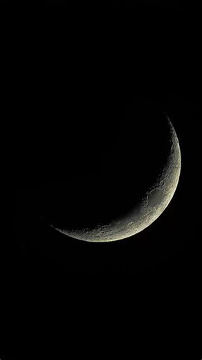 We interrupt your regularly scheduled scrolling for an important message from our High Hopes. Take a listen to tomorrow’s leaders sharing a powerful message on philanthropy and purpose. ✨ #philanthropy #jjhkproud #jjhkserves #outofthemouthsofbabes #jjoa #onesouthcentral | Jack and Jill of America, Inc. Humble-Kingwood Chapter