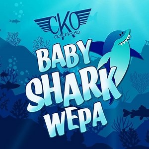 Shark youtube to mp3 converter