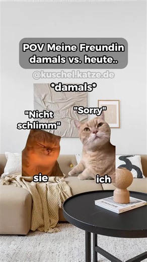 Lustige Katzenvideos: Beziehungskomik und Catmemes